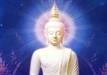 The creed of the buddha