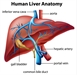 7 Simple Ways To Boost Your Liver Functioning