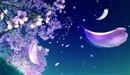 解讀佛詩佛詞—
劍舞落花，流水千行