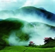 解讀佛詩佛詞—
歸隱南山，采菊東籬