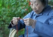 念佛感應見聞記6