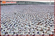 Meditation Enhancing the Lives of Children