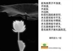 「七十七智」與「度疑清淨」之關係探究
──以《雜阿含經》及《清淨道論》為主──