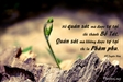 Pháp Ngữ của HT.Tuyên Hóa (phần 4)