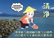 千江映月 -- 星雲說偈