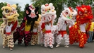 Australian Buddhist Centers Celebrate the Year of the Goat