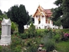 Tennis Champion Novak Djokovic Meditating at Buddhapadipa Temple between Matches