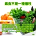 佛說素食經
—斷肉食素聖典彙編