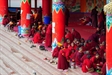 Larung Gar Nuns Push for Gender Equality in Tibetan Buddhism