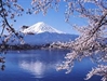 留日見聞