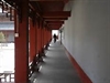 律制生活：佛教的飲食規制之4