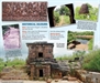 Archaeological Evidence of Buddhist Settlements in Odisha Reveals Ancient Trade Routes