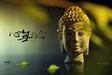 生命不再等待