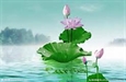 蓮花出水（智門禪師）