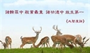 放生手冊第二集