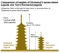 Archaeologists Unearth Possible Fragments of the Largest Buddhist Pagoda Ever Built in Japan