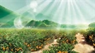 佛教的環保思想