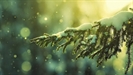 Buddhistdoor View: Renewing the Joy of Encountering the Other This Festive Season