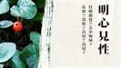 宗鏡錄略講上冊
（第四十章）