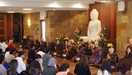 Venerable Hāsapañña: Finding Contentment in Solitude