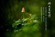 佛光菜根譚4-1