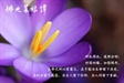佛光菜根譚4-4
