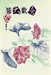 皆大歡喜 -- 往事百語3-1