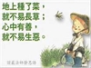 受十善戒經白話