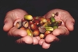 Sowing the Seeds of Metta to Dissolve Fears of the Unknown
