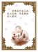 學佛是怎麼一回事