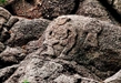 1,800-year-old Buddhist Carvings in Lianyungang Bridge the Past and Future of the Silk Road