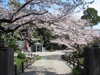 Journeying Across Shikoku: The Shikoku Pilgrimage
