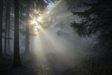 Using the Everyday to Reflect on the Profound