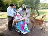 Japan’s Historic Todai Temple Offers Relief for Families Living with Serious Illness
