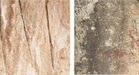 9th Century Buddhist Carvings Discovered in Tibet