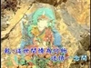 生命的密碼 -- 迷悟之間4-2