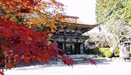 Buddhist Temples Across Japan Soon to Offer Rented Accommodation for Tourists