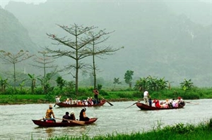 Cây hoa gạo, ngôi tháp cổ, và Thầy tôi