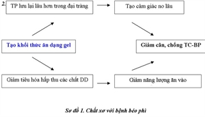 Chất xơ với sức khoẻ và một số bệnh mạn tính nguy hiểm