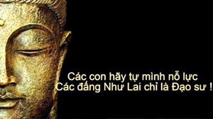 Chính nghiệp