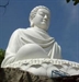 THIỀN TỊNH MẬT phương pháp tu tập đặc thù của Đạo Phật Việt