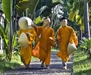 Phật dạy: Hãy từ bỏ những thứ không thuộc về ta