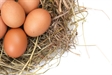 7 Reasons You Should Start Eating Eggs