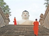 Nhất-xiển-đề thành Phật đến việc sám hối tội Ba-la-di: Khả tính cứu độ và khai phóng của Phật giáo