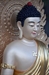 Chúng ta sẽ học được những gì cơ bản nhất từ Đạo Phật?