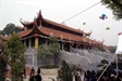 Vĩnh Phúc: Kỳ bí cây sanh bảo vệ tháp cổ ở chùa Hà Tiên