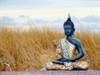 Định hướng cho sự phát triển của Phật giáo Việt Nam