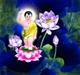Hoa sen & ý nghĩa tám cánh hoa sen trong Phật học