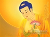 Những Đặc Điểm Của Văn Hóa Phật Giáo Trong Văn Hóa Việt Nam