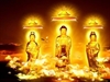 Bình Đẳng Và Cấp Bực Trong Phật Giáo